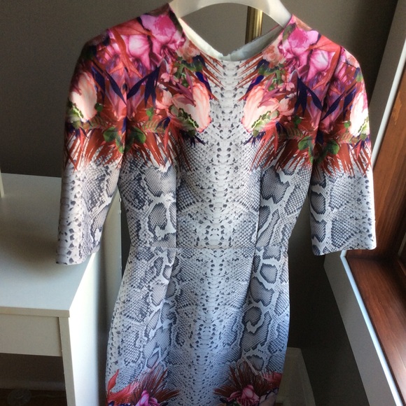 Stunning Camilla and Marc *VECTOR* Dress - Picture 3 of 8